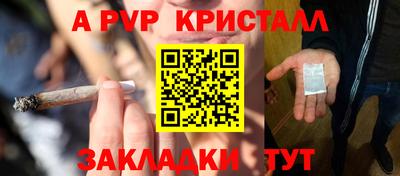 прущие грибы Моздок