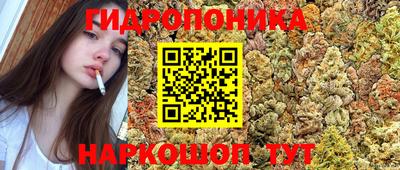 прущие грибы Моздок