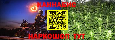 прущие грибы Моздок
