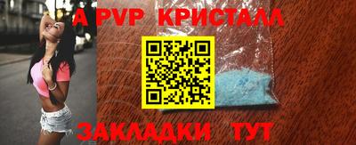 прущие грибы Моздок