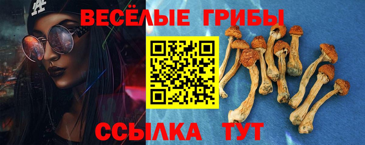 Владивосток  Псилоцибиновые грибы Cubensis  Вход с VPN  Галлюциногенные грибы Psilocybine cubensis 