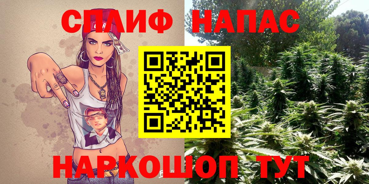 Марихуана семена  Канабис Bruce Banner  Вход с VPN  Владивосток 